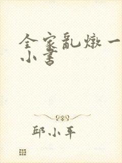 全家乱炖一锅烩小书