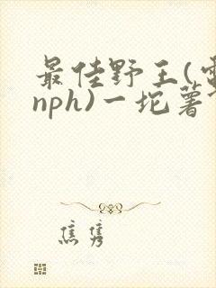 最佳野王(电竞nph)一坨薯饼