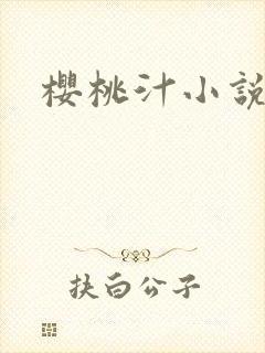 樱桃汁小说