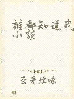 谁都知道我爱你小说