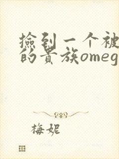 捡到一个被抹布的贵族omega