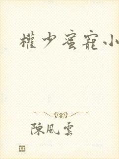 权少蜜宠小娇妻