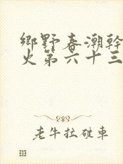 乡野春潮干柴烈火第六十三章封面
