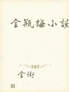 金瓶梅小说