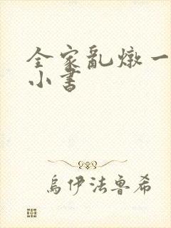 全家乱炖一锅烩小书