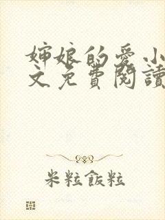 婶娘的爱小说全文免费阅读封面