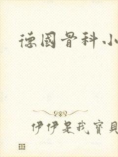 德国骨科小说封面