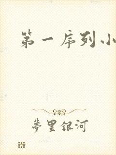 第一序列小说