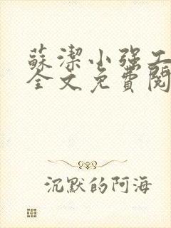 苏洁小强工地情全文免费阅读封面