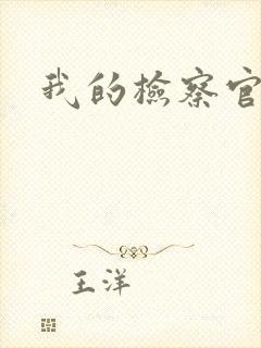 我的检察官先生