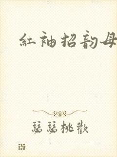 红袖招韵母攻略