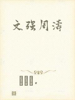 文强周涛封面
