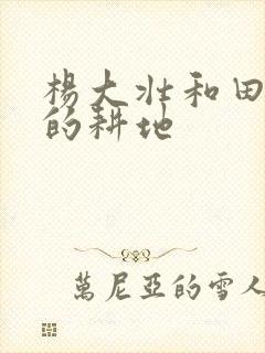 杨大壮和田桂花的耕地封面