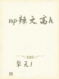 np辣文高h