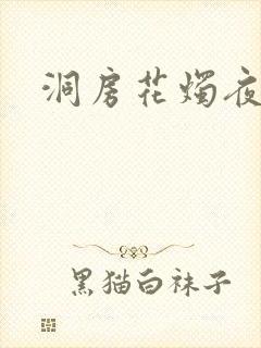 洞房花烛夜小说