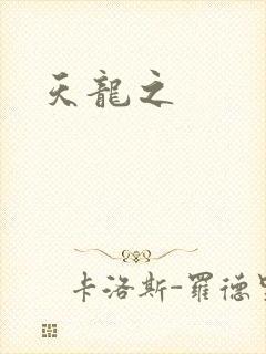 天龙之封面