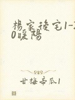 杨家后宅1-20暖阳封面