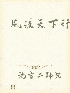 风流天下行封面