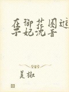 在御花园进入太子妃沈音封面