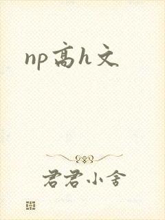 np高h文