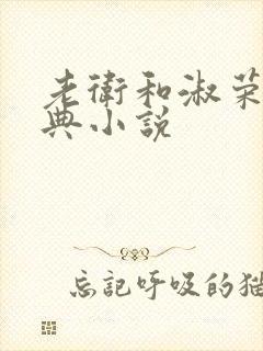 老卫和淑荣的经典小说