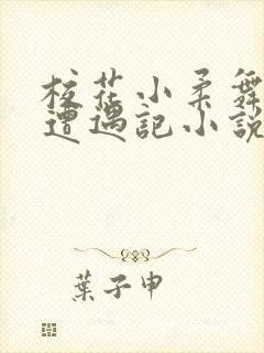 校花小柔舞蹈室遭遇记小说