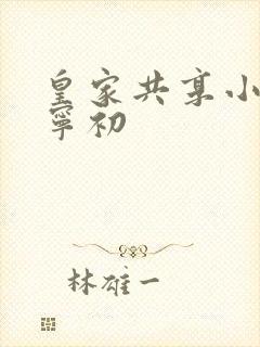 皇家共享小公主宁初