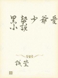 黑帮少爷爱上我小说