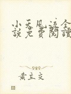小天风流全集小说免费阅读