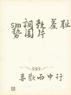 sm调教羞耻姿势图片