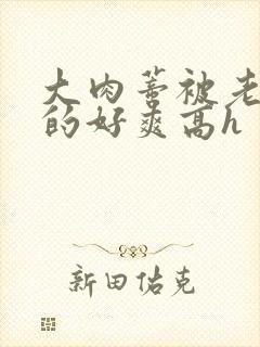 大肉蒂被老头嘬的好爽高h封面