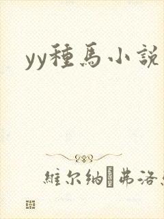 yy种马小说封面