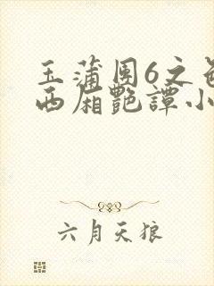 玉蒲团6之色情西厢艳谭小说封面