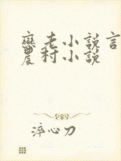 恋老小说言情网农村小说封面