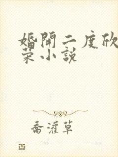 婚开二度欣欣向荣小说封面