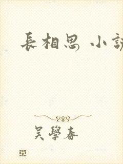 长相思 小说封面