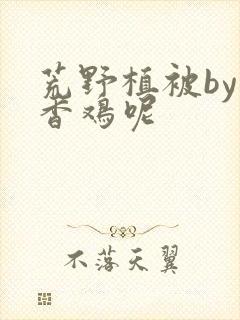 荒野植被by麦香鸡呢封面