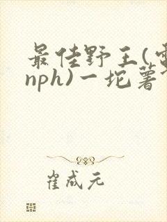 最佳野王(电竞nph)一坨薯饼