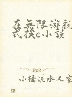在无限游戏里花式挨c小说封面