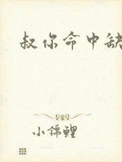 叔你命中缺我封面