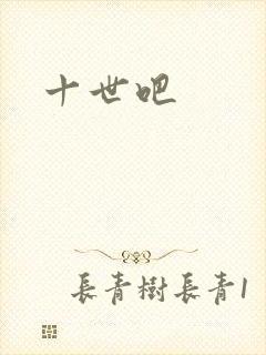 十世吧封面