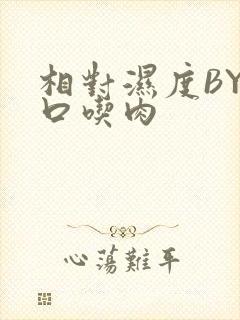 相对湿度BY大口吃肉