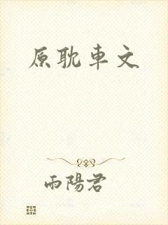 原耽车文