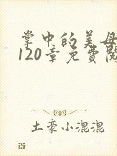 掌中的美母版主120章免费阅读