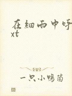 在细雨中呼喊txt封面