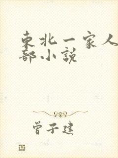 东北一家人第一部小说封面