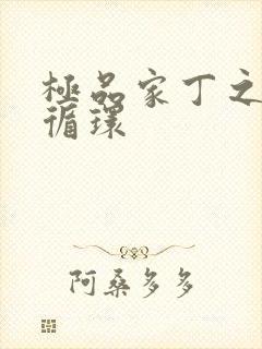 极品家丁之因果循环