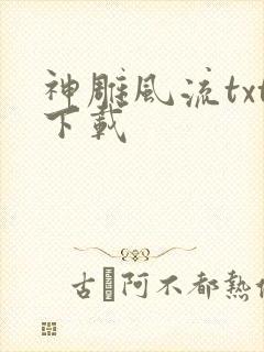 神雕风流txt下载