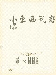 小东西我想弄坏你