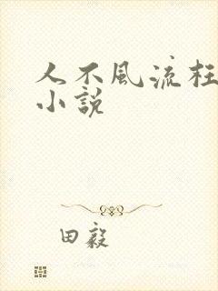 人不风流枉少年小说